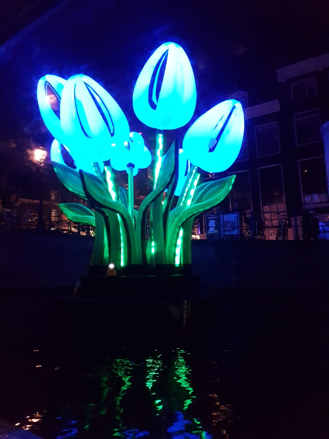 Cool Flowers On the Amsterdam Canal Cruise