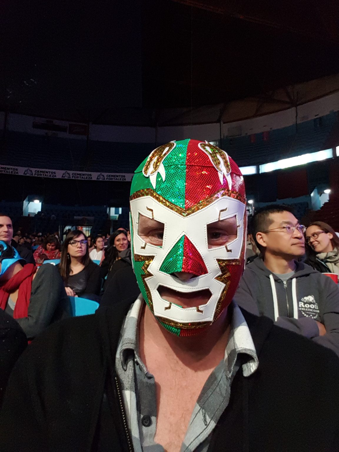 My Lucha Libre Mask