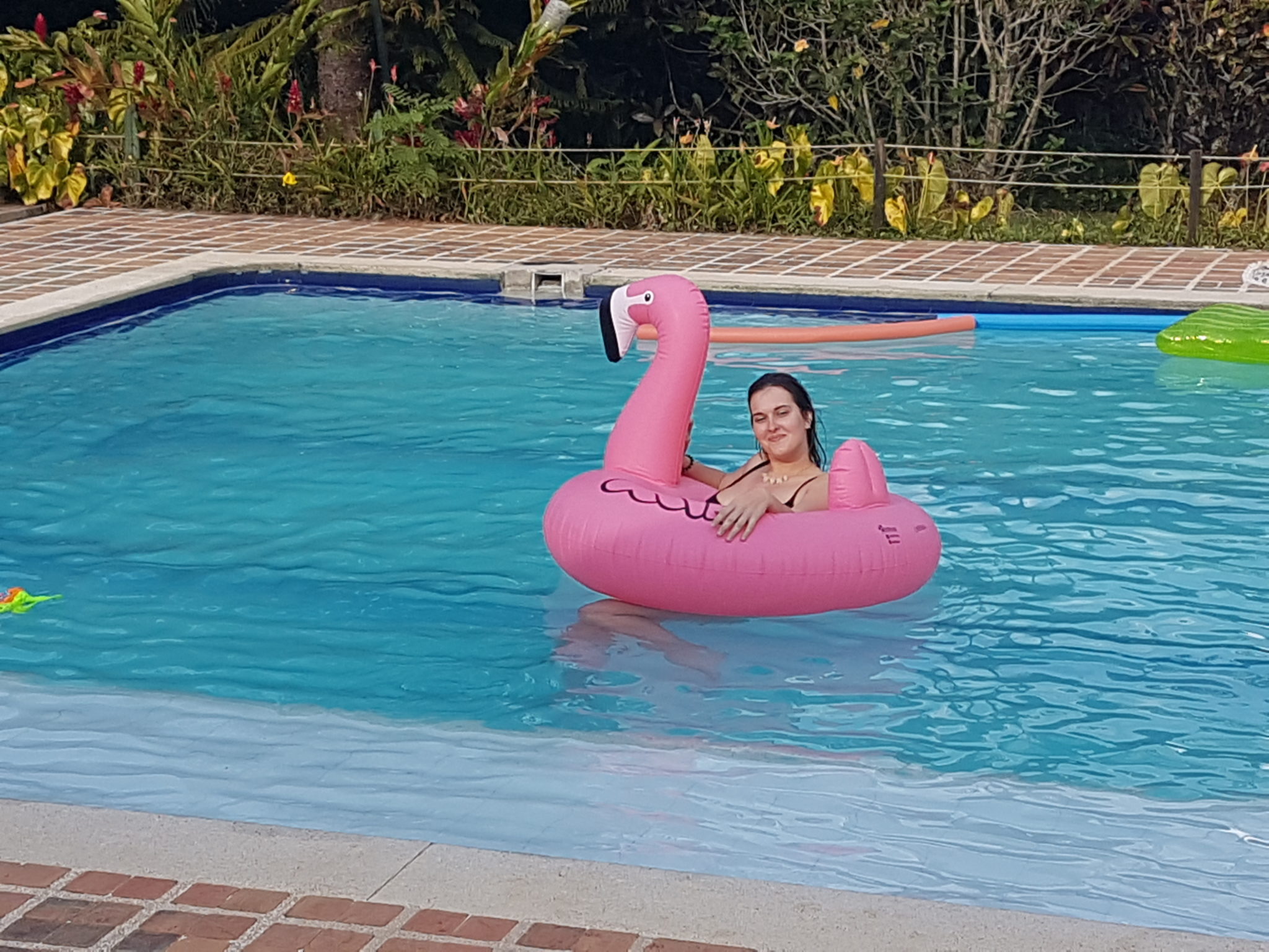 Aggie in the Pool at the Finca in a Swan Floatie