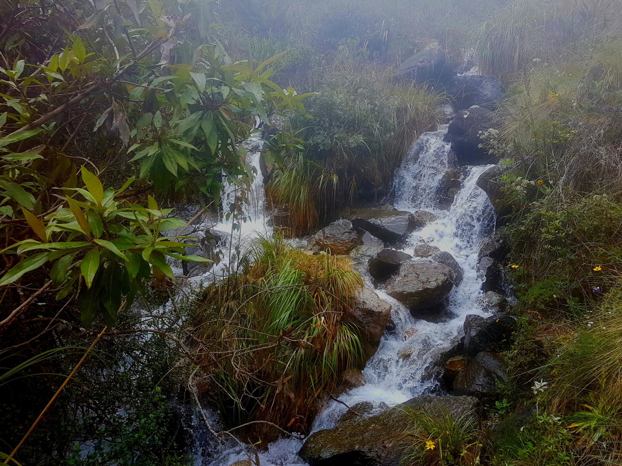 Beautiful Streams on the Andes Mountains